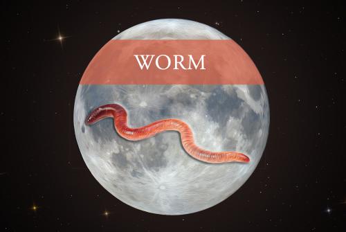 The Full Worm Moon of March.